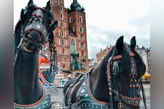 Wyłoniono zwycięzców w konkursie „The joy of Erasmus”